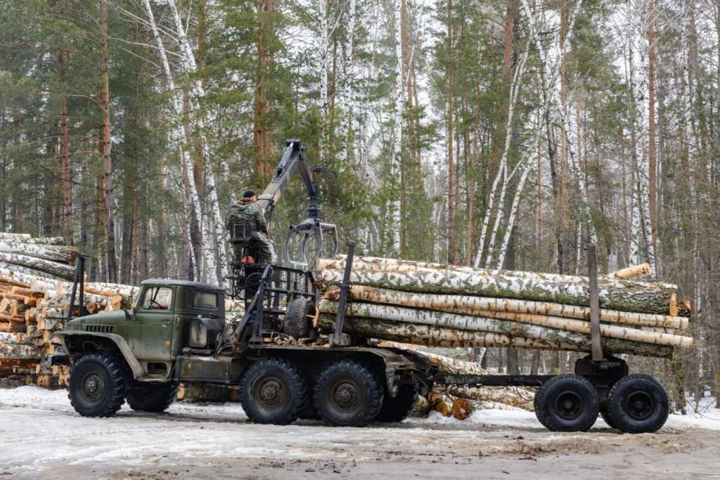 Псковское предприятие закупило рекордное количество спецтехники для заготовки леса