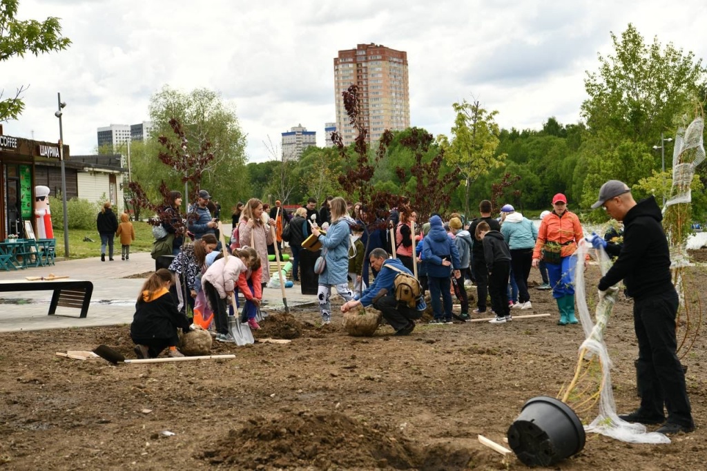 Зелёное обновление набережной Серебрянки: 95 новых деревьев украсили любимое место отдыха жителей подмосковного Пушкино Зелёное обновление набережной Серебрянки: 95 новых деревьев украсили любимое место отдыха жителей подмосковного Пушкино