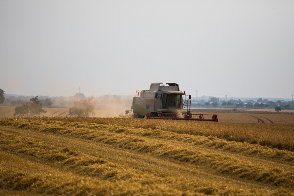 Министр сельского хозяйства Татарстана сообщил о завершении посевной кампании