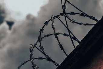 В Санкт-Петербурге главу финансовой пирамиды приговорили к 5 годам колонии